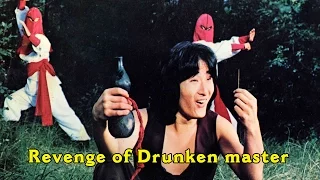 Wu Tang Collection - Revenge of Drunken Master