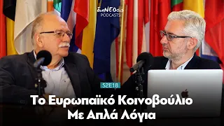 To Eυρωπαϊκό Κοινοβούλιο Με Απλά Λόγια | Δημήτρης Παπαδημούλης