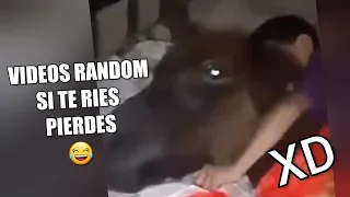 Los Mejores VIDEO MEMES RANDOM #52, Si Te Ries Pierdes, Momentos XD, Videos De Risa, Funny Moments