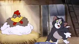 Tom and Jerry | Fine Feathered Friend 1942 | Clip 01