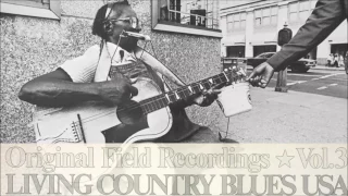 Living Country Blues Vol.3 - Flora Molton and the Truth Band (Full Album)