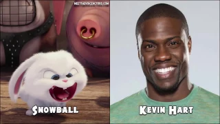 Characters Voice Actors of The Secret Life of Pets