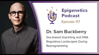 Epi Podcast #117 - Sex-biased Imprinting and Regulatory Landscapes in Reprogramming w Sam Buckberry