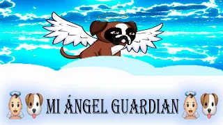 👼🏻🐶 homenaje a mi ángel de cuatro patas 🐶👼🏻