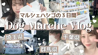 【３日間密着🤭】カップルでマルシェ出店！埼玉→群馬→千葉のハードな3日🌀ONE'S MARKET🎪アンドドッグフェス🎪Dog Festa INAGE【視聴者さん大集合〜！】