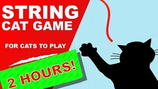 Cat Games: String 2 Hours 🙀 (addictive)