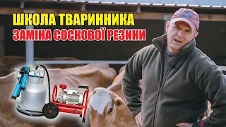 Нова соскова резина: натуральний ефект | Школа тваринника | Куркуль