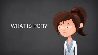 Introduction to PCR