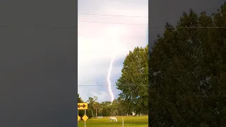 Storm may spook the Horse while lightning strikes #lightning #horse