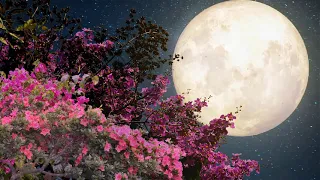 Футаж. Луна, луна 🌕 Цветы, цветы 🌺🌺🌺 Background moon, flowers