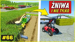 Żniwa trzciny cukrowej i wielki siew kukurydzy🌽 0$ START na mapie NO MAN'S LAND #66