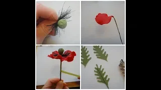Poppy Flower and Leaves Leaf Step by Step Tutorial - Gumpaste Sugar Wired - How to Make