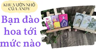 Chọn 1 tụ bài Tarot - Bạn đào hoa tới mức nào - Alo Andy