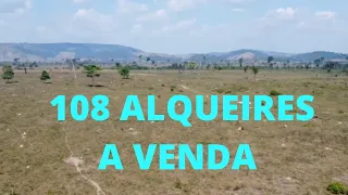 Fazenda muito boa pra vender. Em São Félix do xingu. 108 alqueires com 91 de pasto. toda plana.