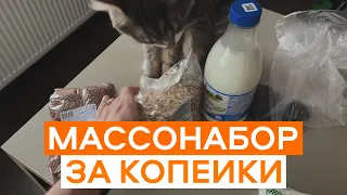 Качественный Массонабор За Копейки! Результат Шокировал! Как Набрать Массу? Бюджетный Массонабор!