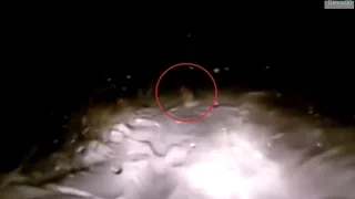 Russian Boys Film Real Bigfoot/Yeti near Ural mountains