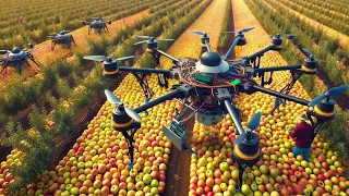 Cómo Los Agricultores Cosecharon Miles De Toneladas De Productos Agrícolas en 2024 ►1