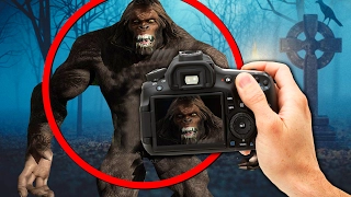 ВСТРЕЧА СО СТРАШНЫМ БИГУФУТОМ В ЛЕСУ - САМАЯ СТРАШНАЯ ИГРА (FINDING BIGFOOT ГЕЙМПЛЕЙ)