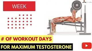 💪How Many Days A Week Should I Workout For Maximum Testosterone Levels? - by Dr Sam Robbins