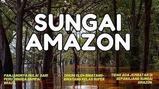 Amazon, Dari Anaconda, Ikan Piranha, Hiu Banteng Ada Disini