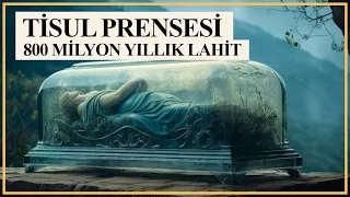 Gizemli Tisul Prensesi / 800 milyon yıllık bir lahit ve sır dolu bir keşif