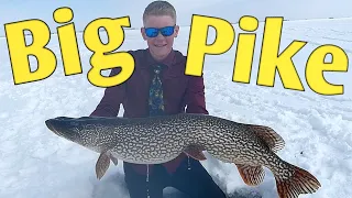 Fishing in STYLE! | Big Pike in Southern Alberta