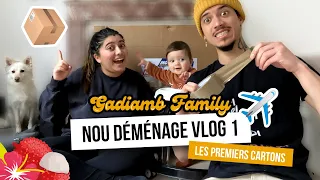 [ GADIAMB FAMILY - VLOG 🇷🇪 ] Les premiers cartons 📦