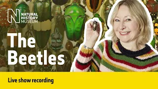 The Biodiversity of Beetles | Live Talk with NHM Scientist