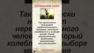 ЗНАЧЕНИЕ ВЫРАЖЕНИЯ: БУРИДАНОВ ОСЕЛ #shorts