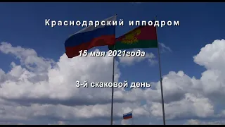 Видео 3 скаковой день   15.05.2021г.  Краснодарский ипподром