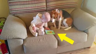 Sie ließen ihr Baby allein mit dem Hund. Ein Video von seinem Verhalten erzielt 24 Millionen Aufrufe