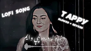 Da zra la darda tapay wayam ❘ haroon bacha tappaezy song ❘ slowed and reverb ❘ new tappy lofi song