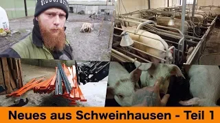 FarmVLOG#213 - Neues aus Schweinhausen / Teil 1