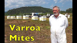 Varroa Mite Treatment Results