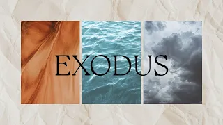 Exodus | An Unlikely Deliverer