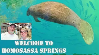 Homosassa Springs State Park Crystal Clear Springs and Diverse Wildlife Walk-Around and Boat Tour