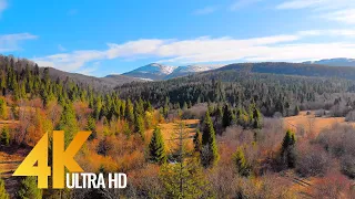 4K Beauty of the Carpathian Mountains from Above (Ukraine) - Short Preview