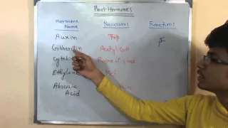 Plant growth hormones