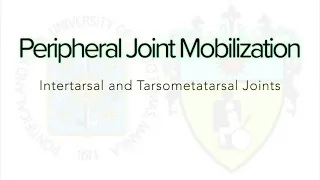 PJM Intertarsal and Tarsometatarsal Joint Glides