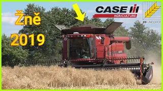 !!! Žně/Żniwa/Harvest/Žatva 2019 !!! - Ozimá Řepka - ZD UNČOVICE