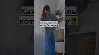 как назвать кошку или кота💛🌻