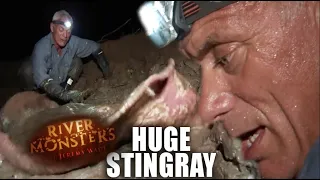 Wrestling A HUGE Colombian Stingray | River Monsters