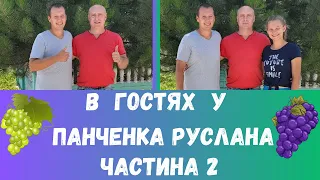 Частина 2. В гостях у Панченка Руслана. Огляд селекційної ділянки.