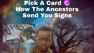 Pick A Card How Your Ancestors Send You Signs✨