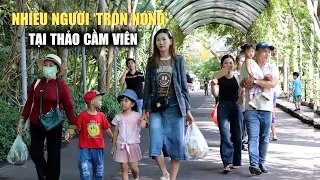 Cảnh hiếm ở Thảo Cầm Viên ngày đầu nghỉ lễ: Khách thưa thớt, đến chỉ để... tránh nóng