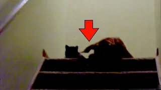 Viewers Are Getting Creeped Out by These Scary Videos