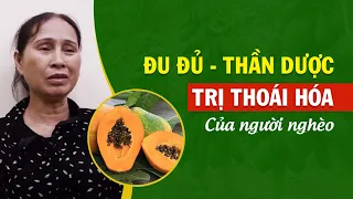 Thuốc Nam Trị Thoái Hóa Cột Sống. 5 Cách Dùng Đu Đủ Chữa Thoái Hóa Cột Sống Đúng Chuẩn Tại Nhà