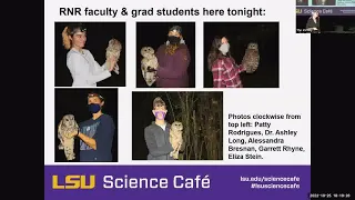 LSU Science Café October 2022: Baton Rouge Barred Owls