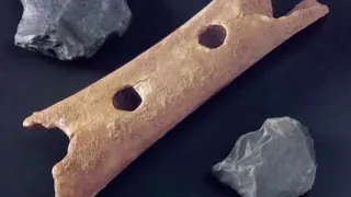 The Divje Babe/Neanderthal Flute: The World's Oldest Musical Instrument?