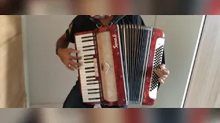 Ainda ontem chorei de saudade - Acordeon cover